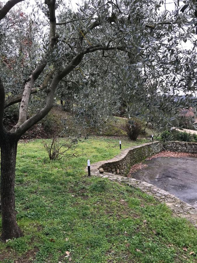 La Ghirlanda B&B Αρέτσο Εξωτερικό φωτογραφία